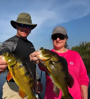 Bass fishing 2022